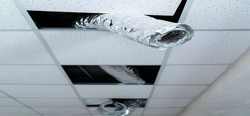 Affordable HVAC Sanitizing After Pest Removal in Santa Fe