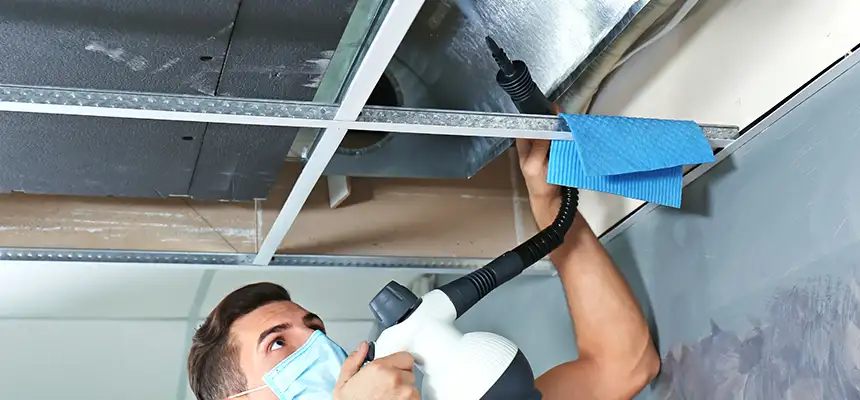 Our Air Duct Rodent Removal Services in Santa Fe, NM