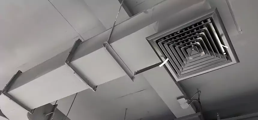 Restorative Allergy Relief Vent Cleaning – Coil, Blower & Housing Detail in Santa Fe