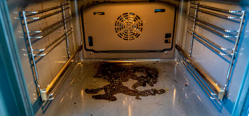 Our Dryer Vent Mold Cleaning Services in Santa Fe, NM