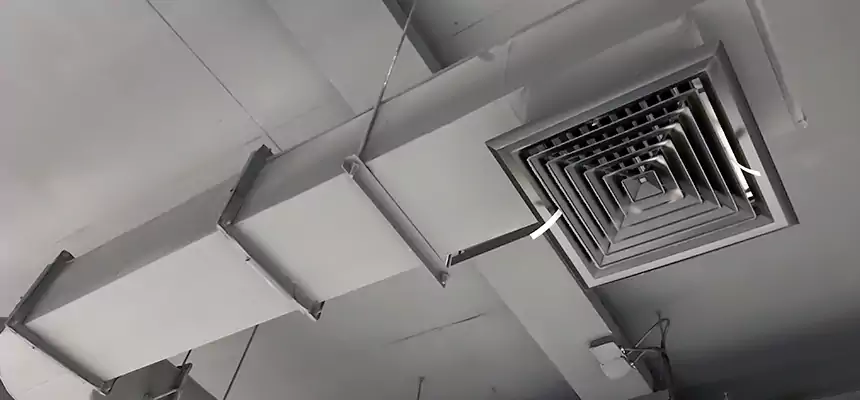 Our Pest Removal From Ducts Services in Santa Fe, NM