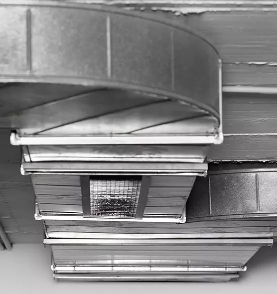 Professional Air Duct Pest Removal in Santa Fe, NM