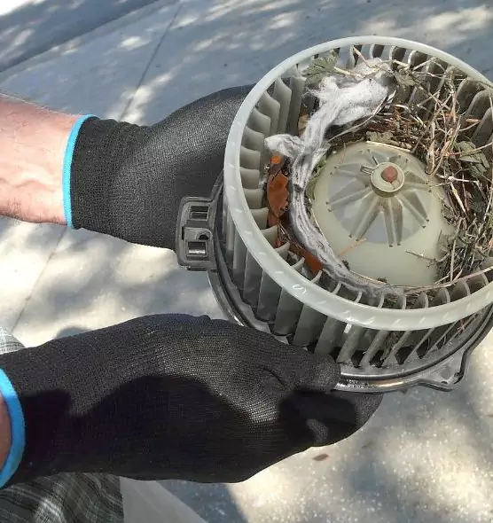 About Air Duct Rat Removal in Santa Fe, NM