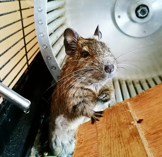 Why Homeowners & Businesses Trust Us Santa Fe, NM?